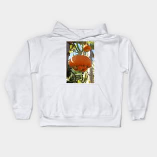 Turban Squash Kids Hoodie